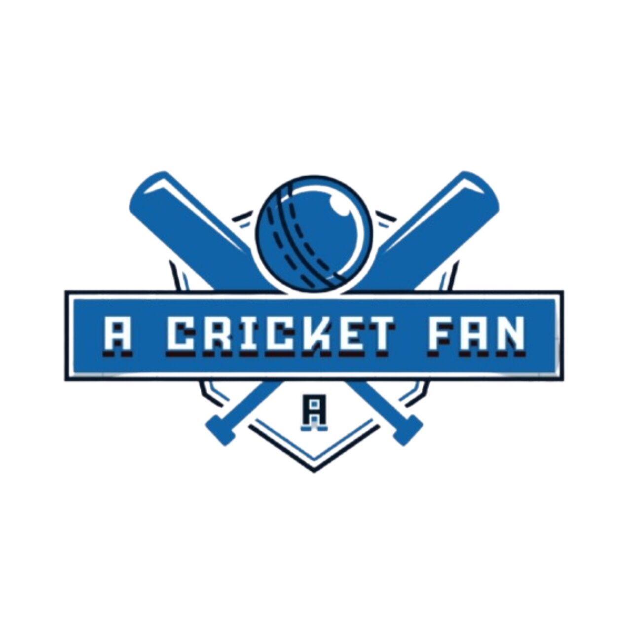 Cricket, IPL, IPL news, A cricket Fan